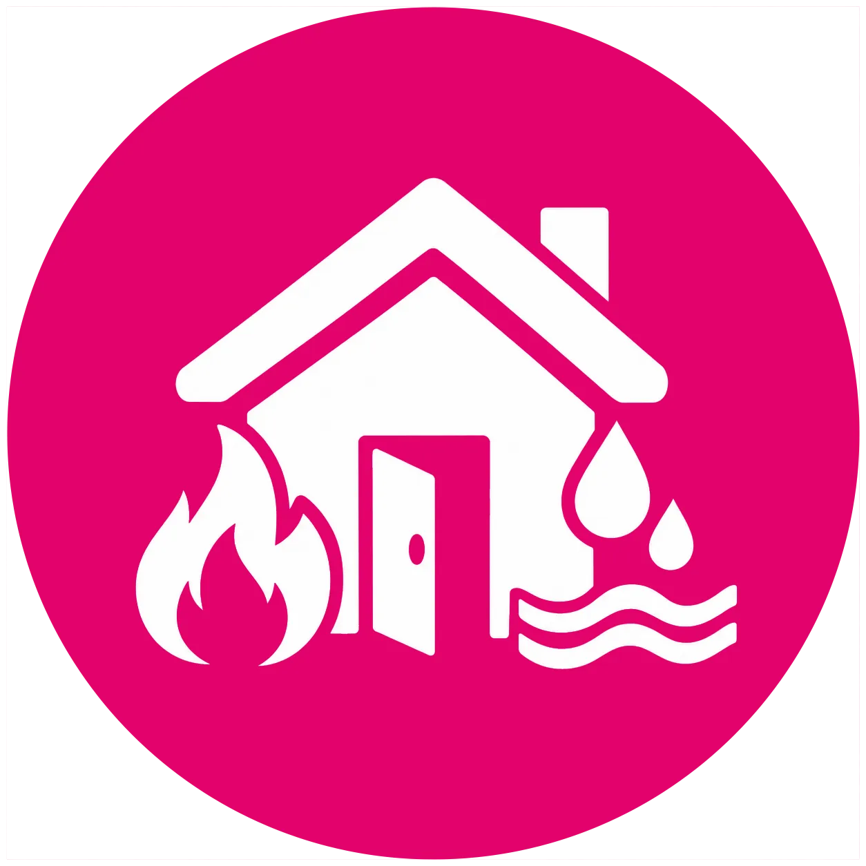 Fire or water damaged properties